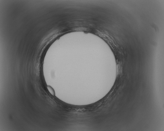 X0000116290243200912291418