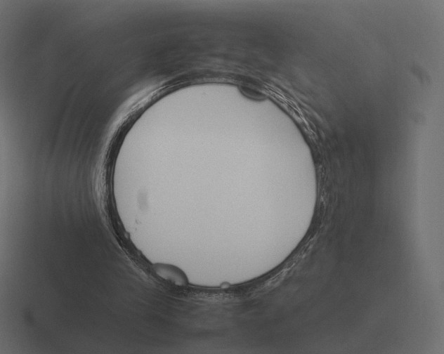 X0000116290245200912291418