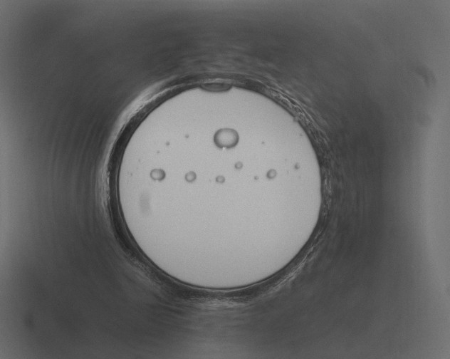 X0000116290246200912291418