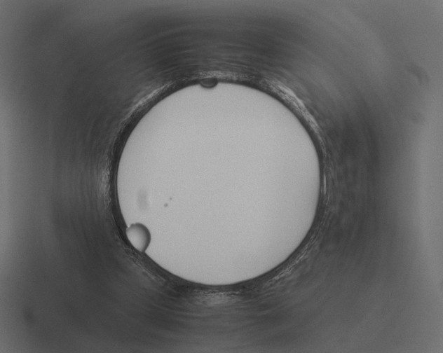 X0000116290249200912291418