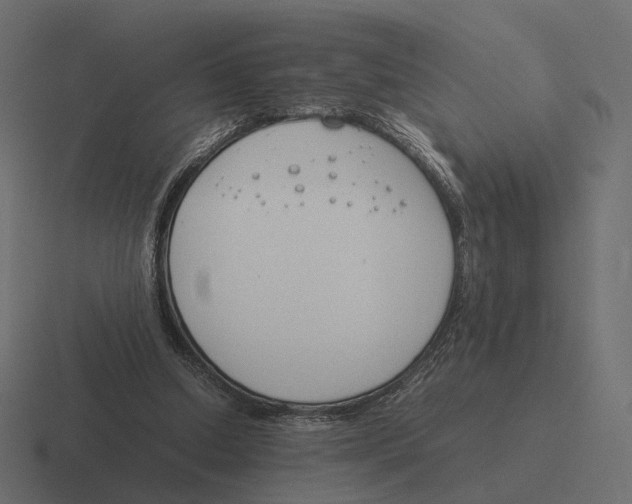 X0000116290250200912291418