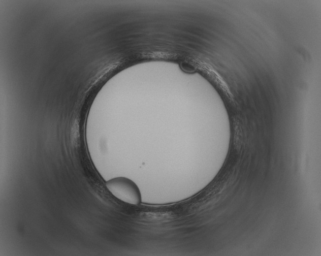 X0000116290251200912291418