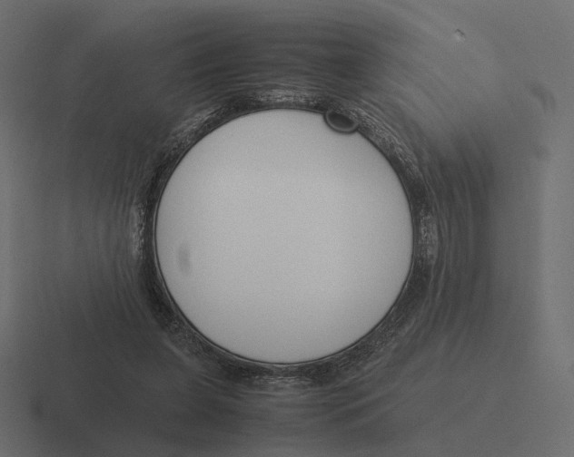 X0000116290255200912291418