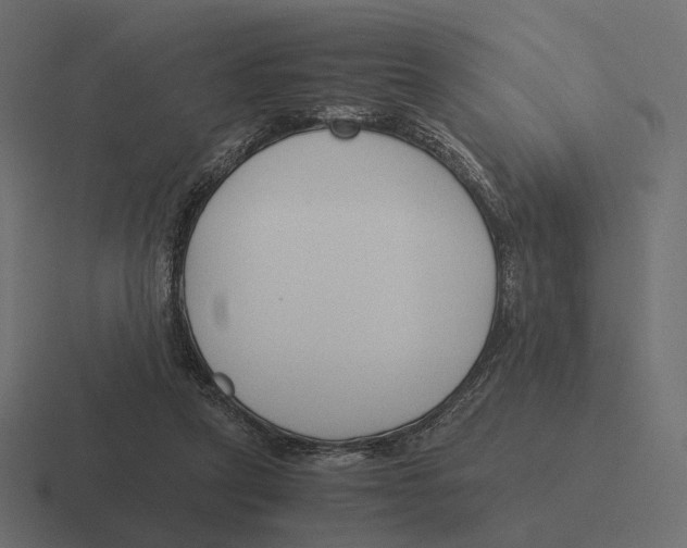 X0000116290257200912291418