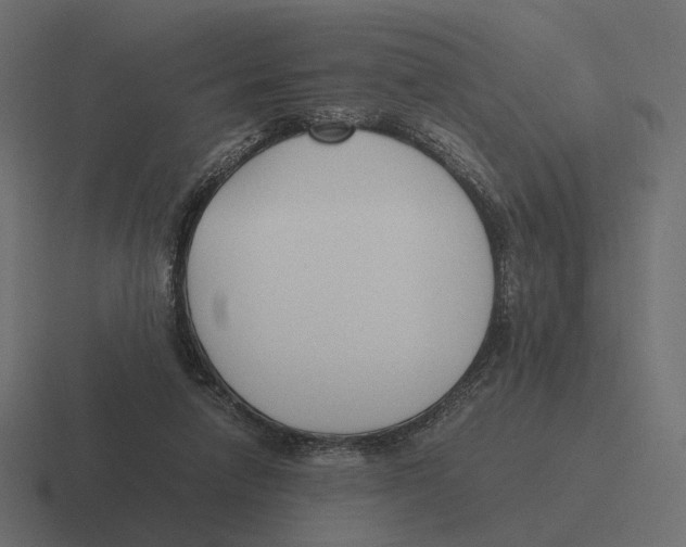 X0000116290258200912291418