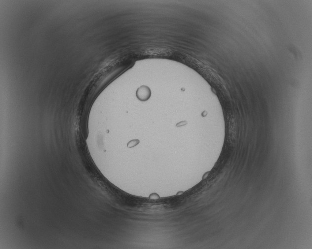 X0000116290260200912291418