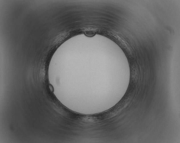 X0000116290261200912291418