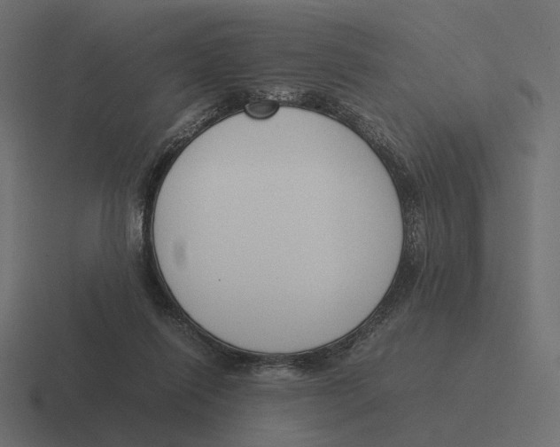 X0000116290262200912291418