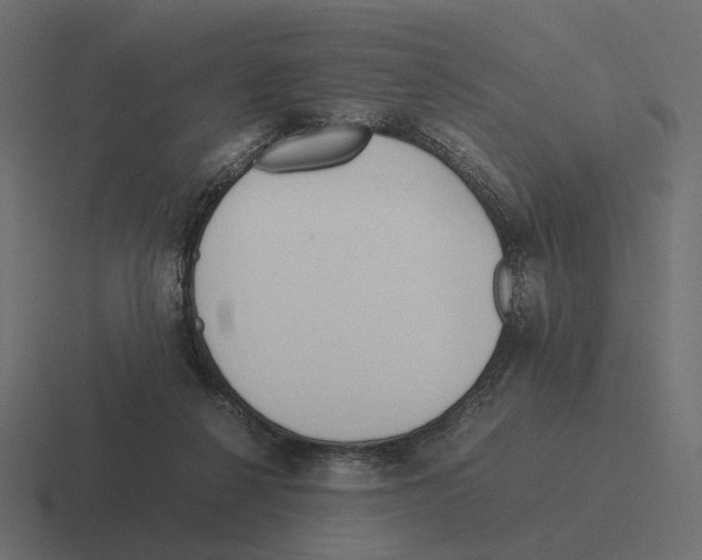 X0000116290264200912291418