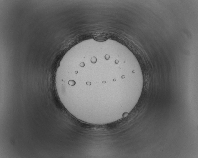 X0000116290270200912291418