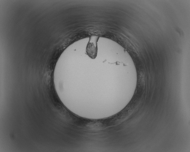 X0000116290271200912291418