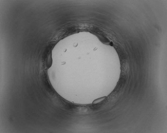 X0000116290272200912291418