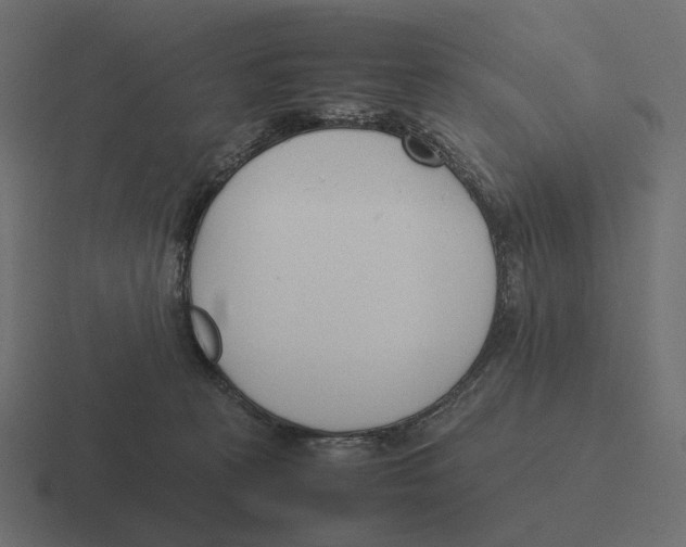 X0000116290273200912291418