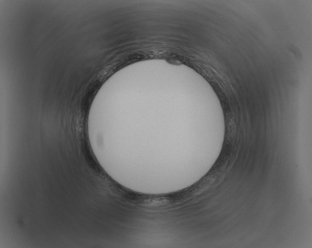 X0000116290274200912291418