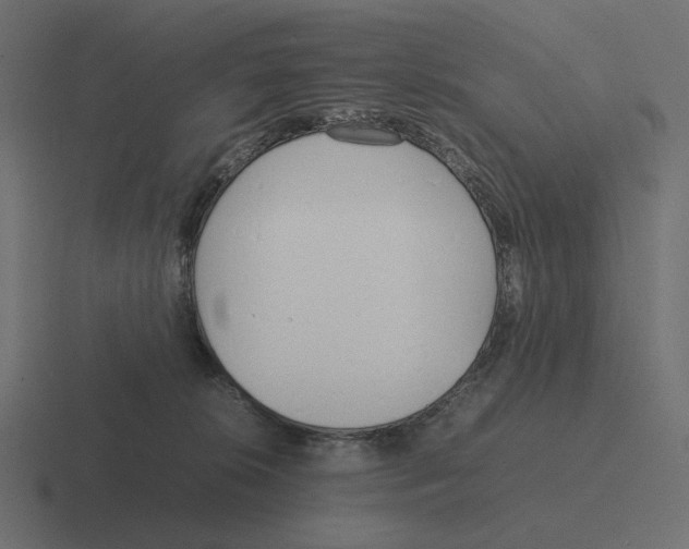 X0000116290276200912291418