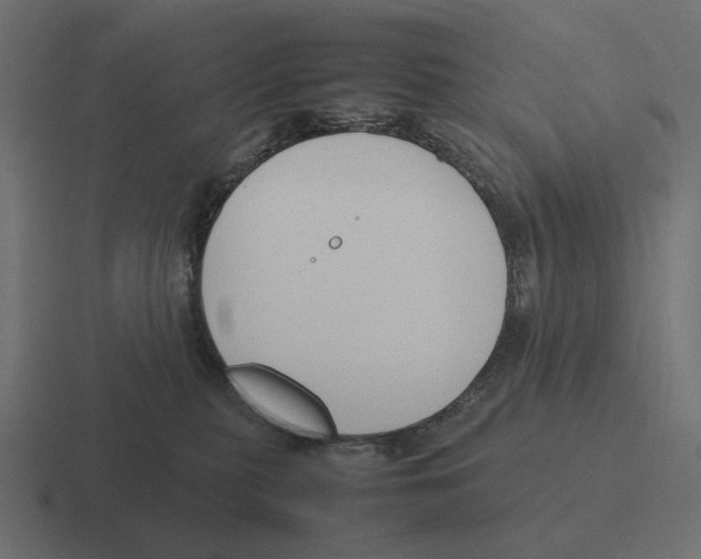 X0000116290279200912291418