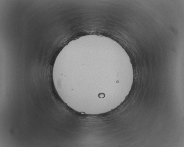 X0000116290280200912291418