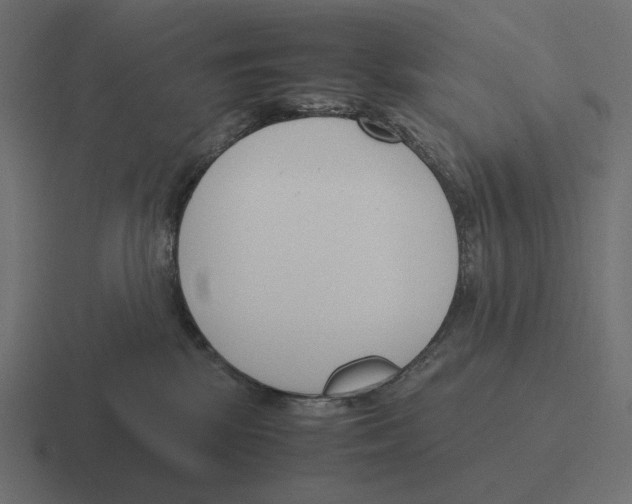 X0000116290281200912291418