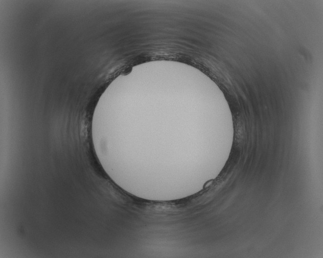 X0000116290282200912291418