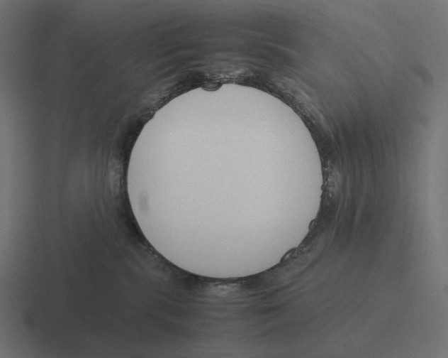 X0000116290283200912291418