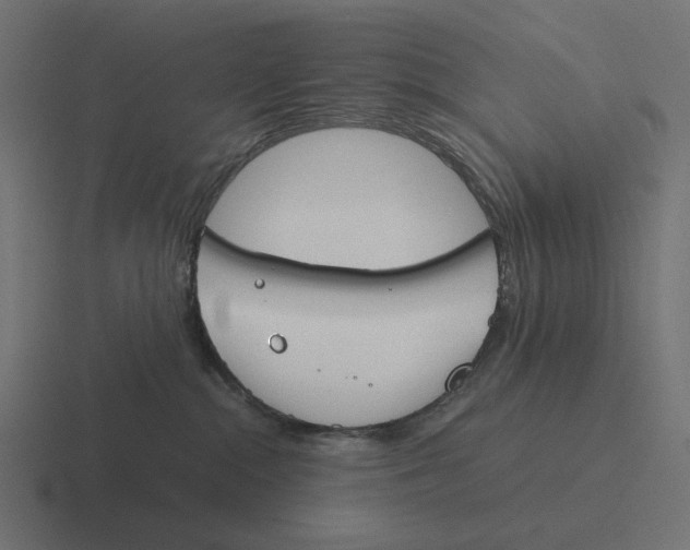 X0000116290284200912291418