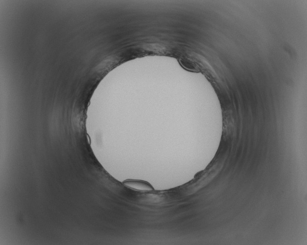 X0000116290285200912291418