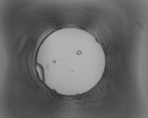 X0000116290289200912291418