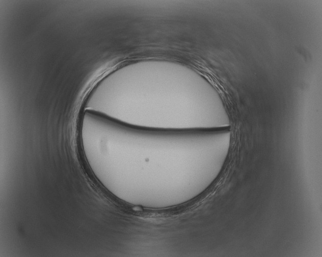 X0000116290293200912291417