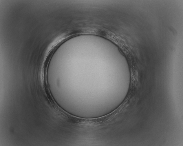 X0000116290294200912291417