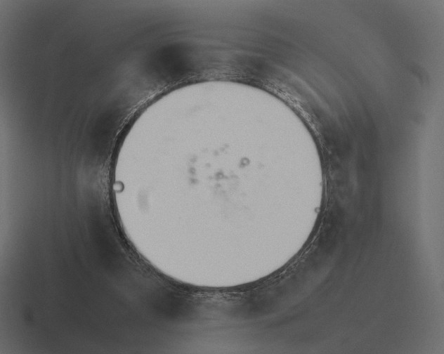 X0000116290297200912291417