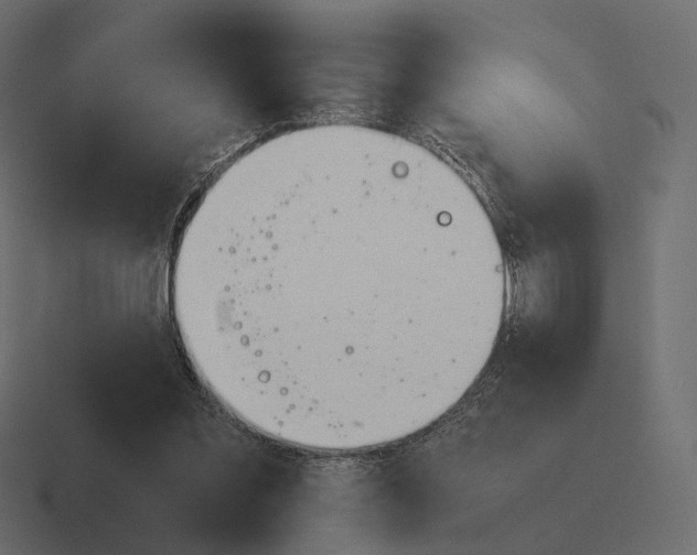 X0000116290301200912291417