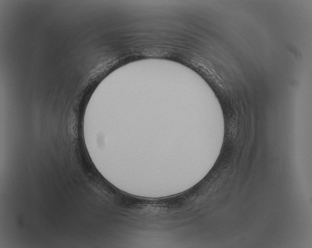 X0000116290303200912291417