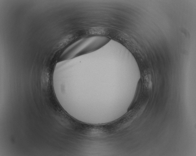 X0000116290308200912291417