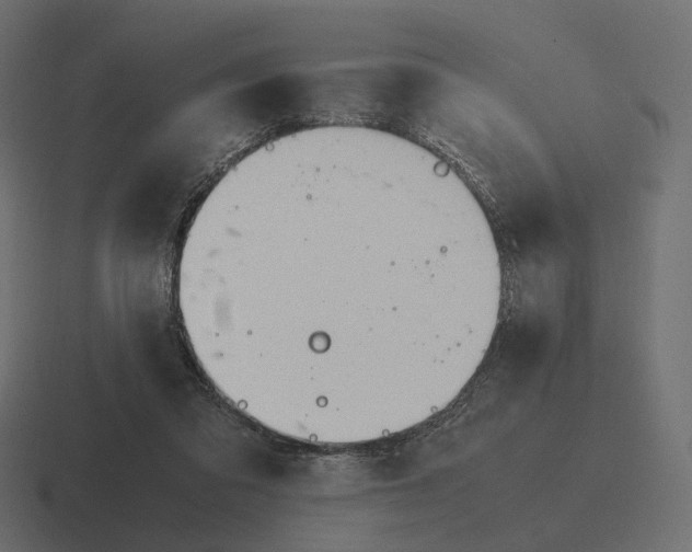 X0000116290309200912291417