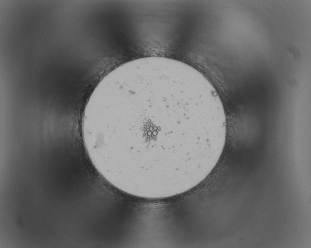 X0000116290313200912291417