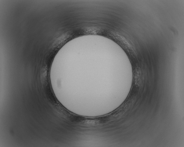 X0000116290314200912291417