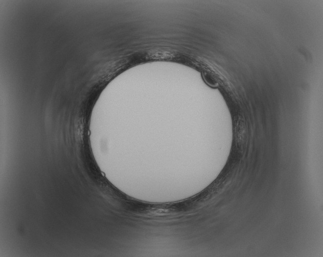 X0000116290315200912291417