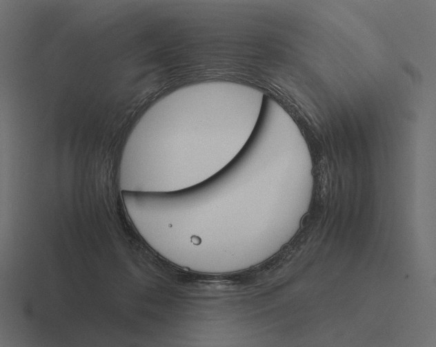 X0000116290316200912291417