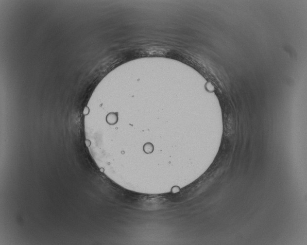 X0000116290321200912291417