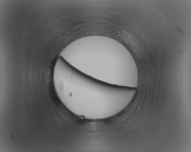 X0000116290323200912291417