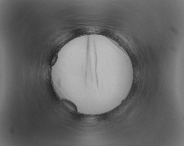 X0000116290325200912291417