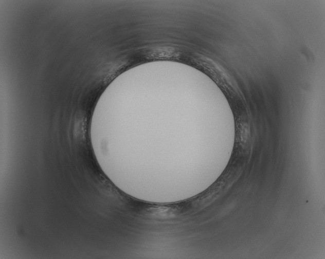 X0000116290326200912291417