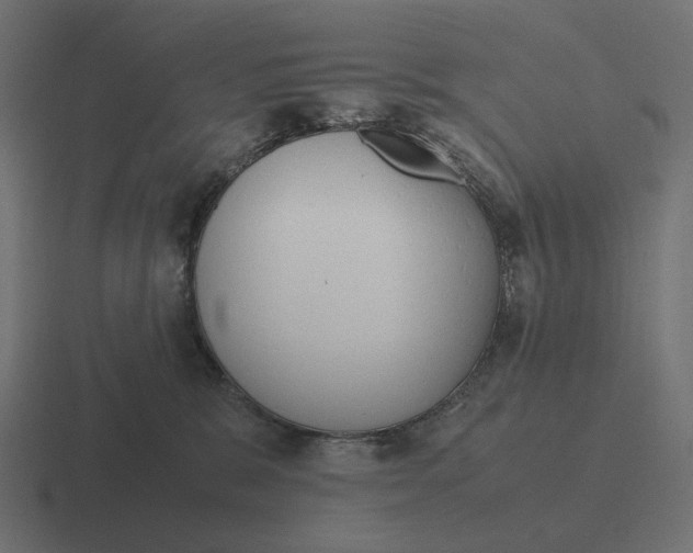 X0000116290327200912291417