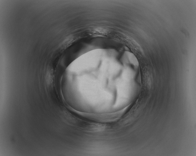 X0000116290328200912291417