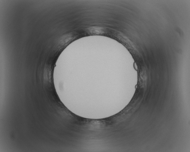 X0000116290330200912291417