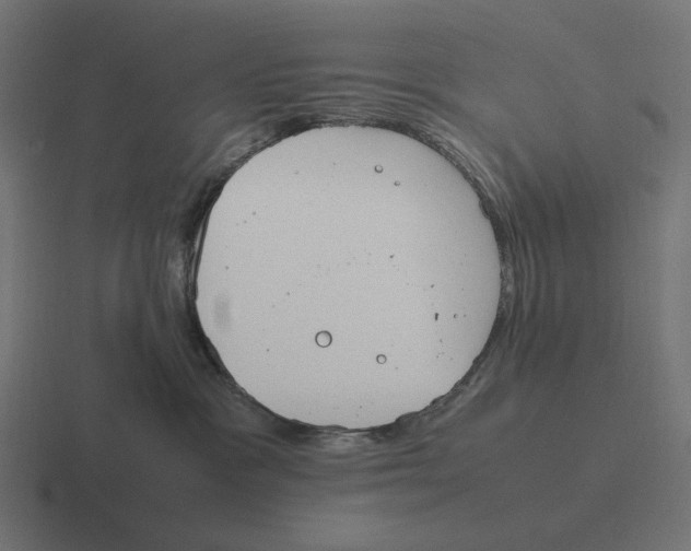 X0000116290333200912291417