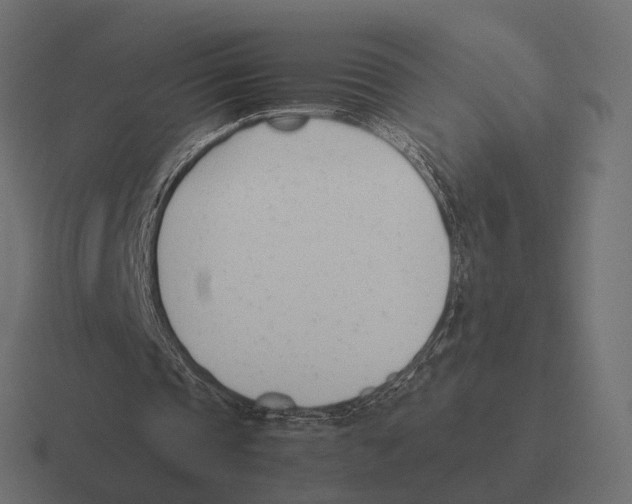 X0000116290337200912291416