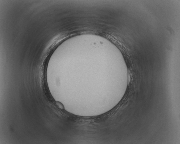 X0000116290339200912291416