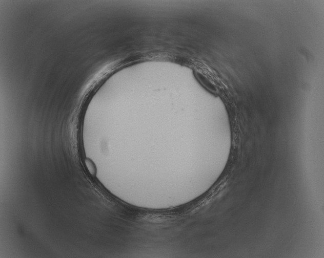 X0000116290341200912291416