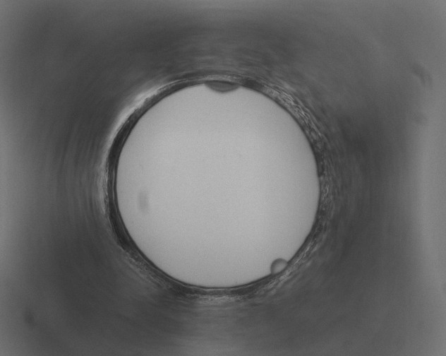 X0000116290342200912291416